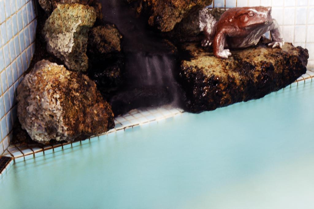 Ryokan Seizan-So Kaminoyama Cameră foto